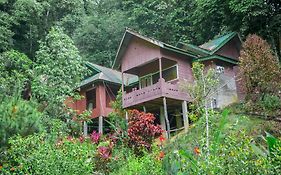 Pak Mus Guest House Ketambe - 0813-7072-1793